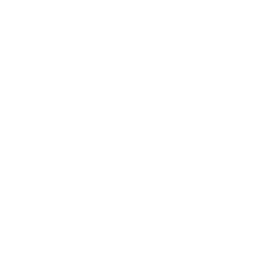 SMW_logo2